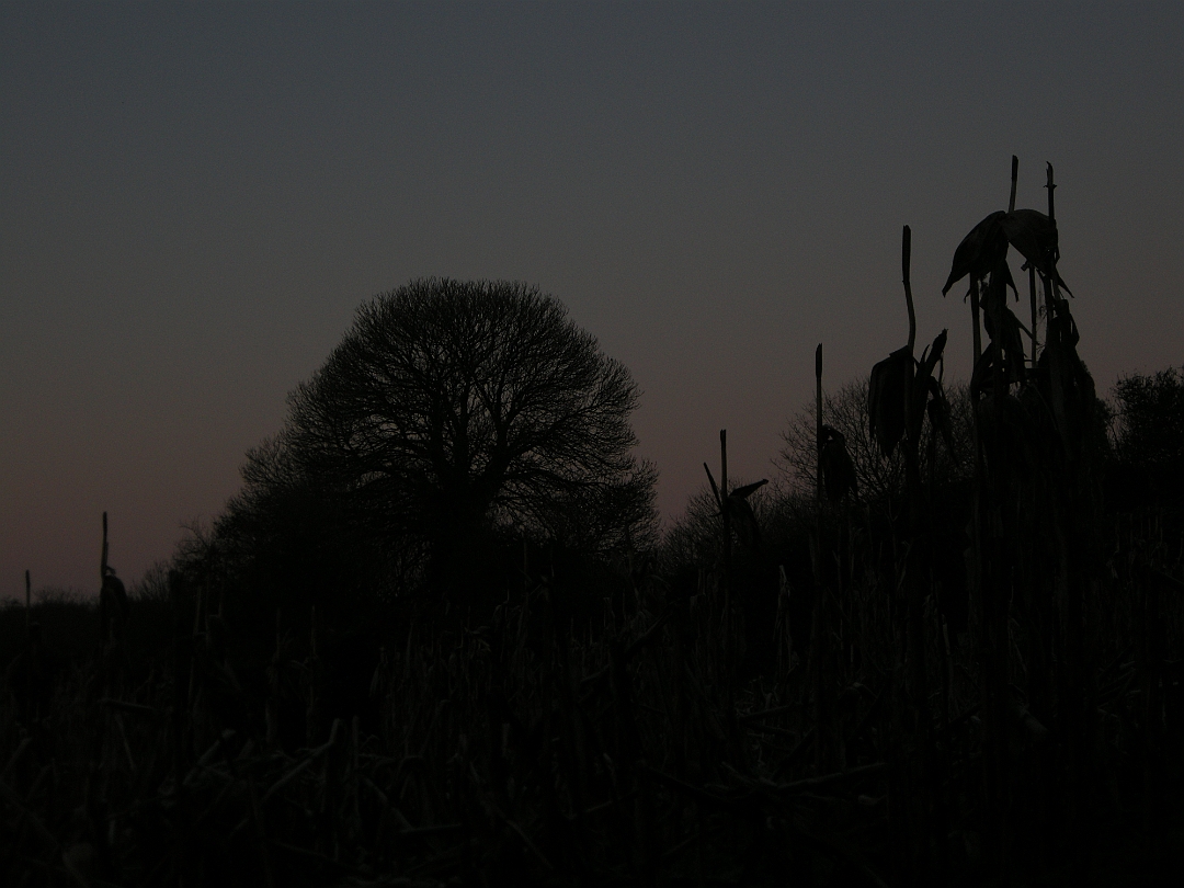 Lalin_012022 005